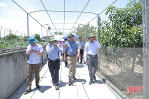 Đoàn công tác tỉnh An Giang ấn tượng với khu dân cư kiểu mẫu, các mô hình kinh tế nông nghiệp của Hà Tĩnh