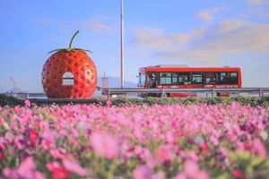 Độc đáo nhà chờ xe buýt hoa quả ở Nhật