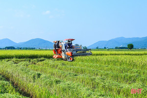 Hà Tĩnh phát triển nông nghiệp theo hướng hàng hóa quy mô lớn