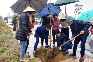 Can Lộc trồng mới hơn 84.200 cây xanh