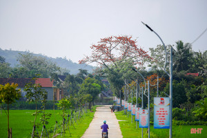 Hương sắc tháng Ba trên những miền quê Hà Tĩnh