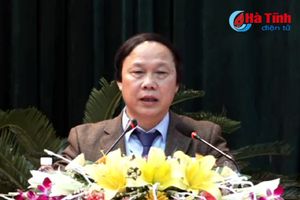 Video: Giám đốc Sở GTVT Hà Tĩnh nói gì về vấn nạn trâu bò thả rông?