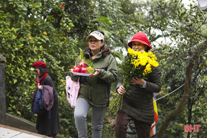 Mùa du xuân mới đã bắt đầu