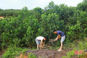 Người miền núi Hà Tĩnh dạy con cách phòng chống cháy rừng thế nào?