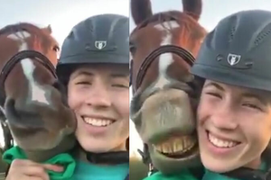 Ngựa cười tươi khi được chụp ảnh với người đẹp