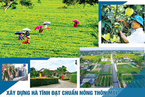 Kết quả thực hiện các phong trào thi đua do Chính phủ phát động