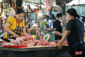 Hà Tĩnh có 10/12 nhóm hàng bán lẻ tăng doanh thu trong 7 tháng qua