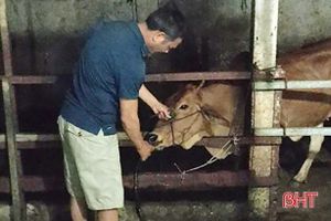 Hà Tĩnh: Bắt quả tang người đàn ông bơm nước vào gia súc trước khi giết mổ