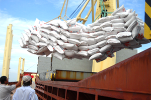 Việt Nam, Thái Lan trúng gói thầu bán 250.000 tấn gạo cho Philippines