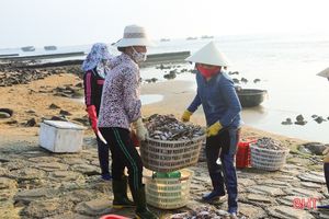 Hải sản dễ bán trong dịp lễ, ngư dân Hà Tĩnh phấn khởi vươn khơi