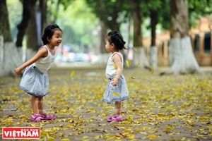 [Photo] Hà Nội đẹp dịu dàng và thơ mộng trong khoảnh khắc giao mùa