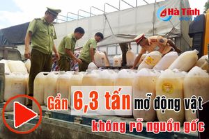 Bắt xe tải chở gần 6,3 tấn mỡ động vật không rõ nguồn gốc xuyên Việt