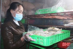 Thị trường hải sản Hà Tĩnh “khởi sắc” những ngày cuối năm