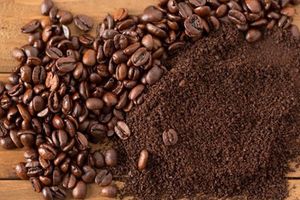 Những loại hạt cà phê đặc trưng cho việc pha bằng máy mà bạn nên biết