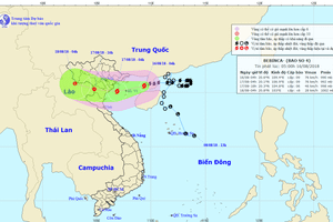 Bão số 4 cách TP Vinh 460km, gây mưa rào và dông ở Hà Tĩnh