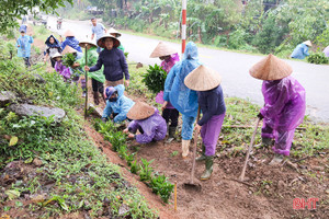 Người dân xã miền núi Hà Tĩnh đội mưa phủ kín hàng rào xanh