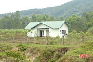 Dự án chậm tiến độ, 20 ha đất ở phường Đậu Liêu bị bỏ hoang nhiều năm