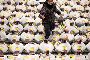 Xem phiên đấu giá đầu năm mới tại chợ cá lớn nhất thế giới ở Tokyo
