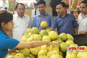 Bưởi Phúc Trạch - Hà Tĩnh lên kệ Vinmart Hà Nội