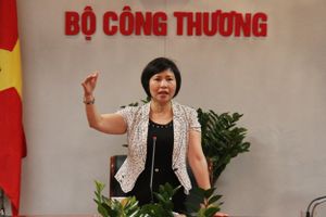 Thủ tướng yêu cầu kiểm tra thông tin về khối tài sản của Thứ trưởng Hồ Thị Kim Thoa
