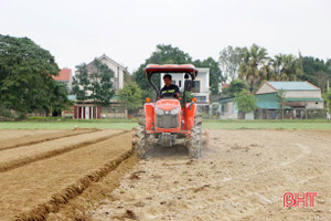 Nông dân Hà Tĩnh “bám” thời vụ, đồng loạt xuống giống lạc xuân