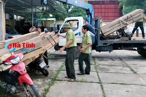 Bắt gọn 3 xe máy nối đuôi nhau chở gần 50 thanh gỗ trên đường mòn