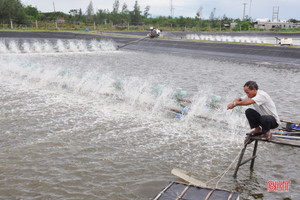 Làm kinh tế giỏi, nông dân Hà Tĩnh thu tiền tỷ mỗi năm