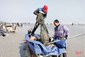 Ngư dân Lộc Hà phấn khởi cào “lộc biển”, thu tiền triệu đầu năm