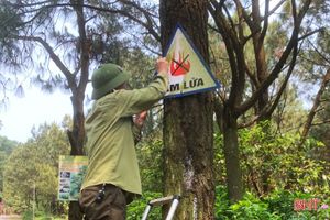 Lộc Hà “phòng là chính” bảo vệ rừng trong mùa du lịch