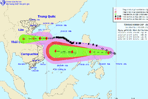 Bão số 8 tiến sát bờ, Hà Tĩnh sẽ có mưa to, sóng biển cao 4m