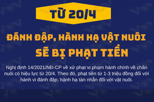 Từ 20/4, đánh đập và hành hạ tàn nhẫn vật nuôi bị phạt tiền triệu