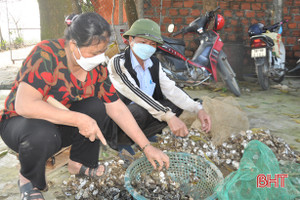 Giám đốc hợp tác xã năng động, nâng tầm giá trị ngao thương phẩm Mai Phụ