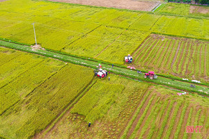 Nông nghiệp Hà Tĩnh - khi thách thức cũng là cơ hội