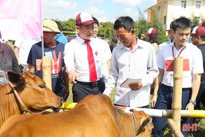 Agribank Chi nhánh Hà Tĩnh II trao sinh kế cho gia đình có hoàn cảnh khó khăn