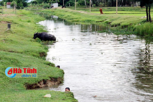 Đi chăn trâu, 2 bà cháu chết đuối thương tâm