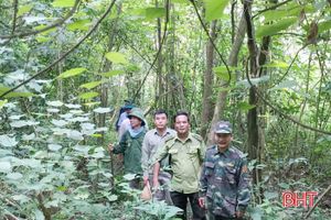 Hà Tĩnh thành lập Ban quản lý Rừng phòng hộ Hương Khê