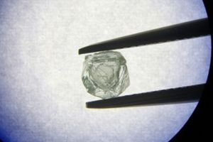 Phát hiện viên kim cương “búp bê gỗ” 800 triệu năm tuổi độc nhất vô nhị