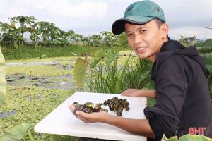 Nông dân Hà Tĩnh biến đất hoang thành các mô hình kinh tế hiệu quả