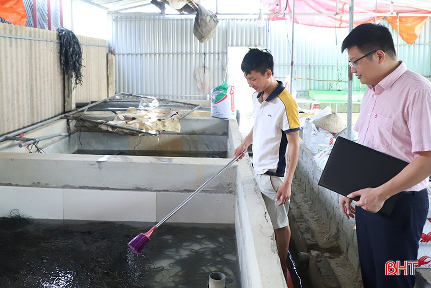 Anh Trần Thế Bình (Can Lộc) vừa vay 80 triệu đồng chương trình GQVL để mở rộng quy mô nuôi lươn thương phẩm. bqbht_br_440.jpg