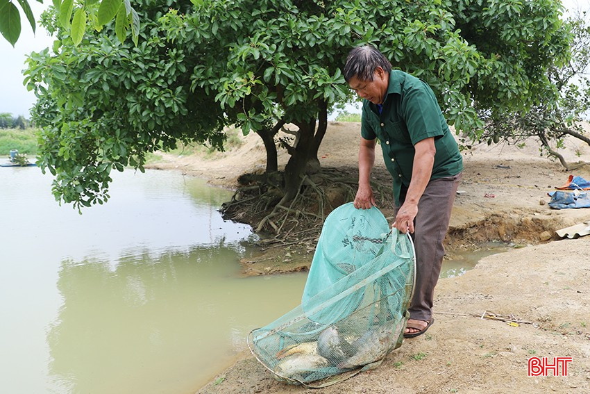 Người dân Hà Tĩnh đầu tư phát triển kinh tế nhờ nguồn vốn chương trình GQVL. bqbht_br_447.jpg