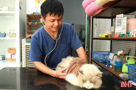 Làm đẹp cho... thú cưng