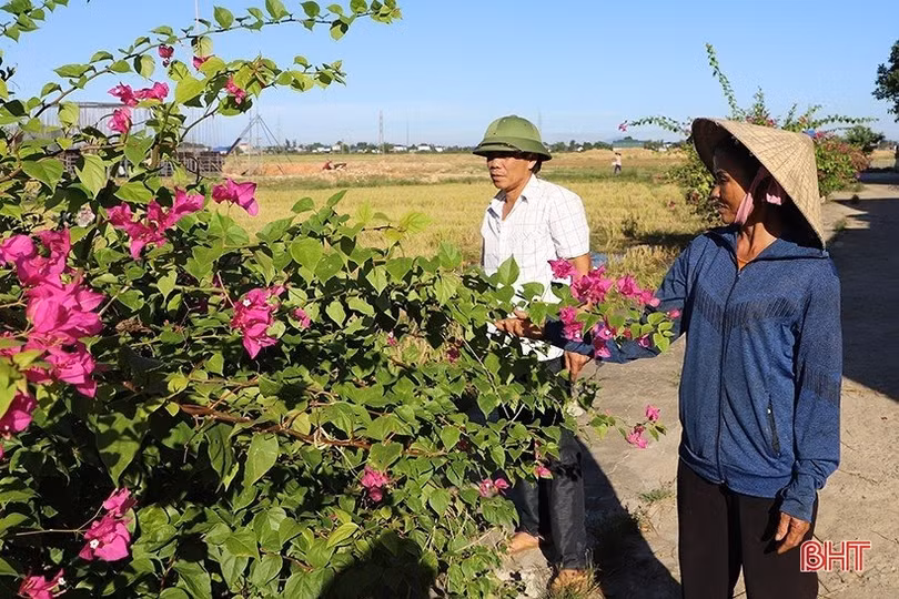 Nữ chi hội trưởng nông dân vùng giáo miệt mài xây phong trào
