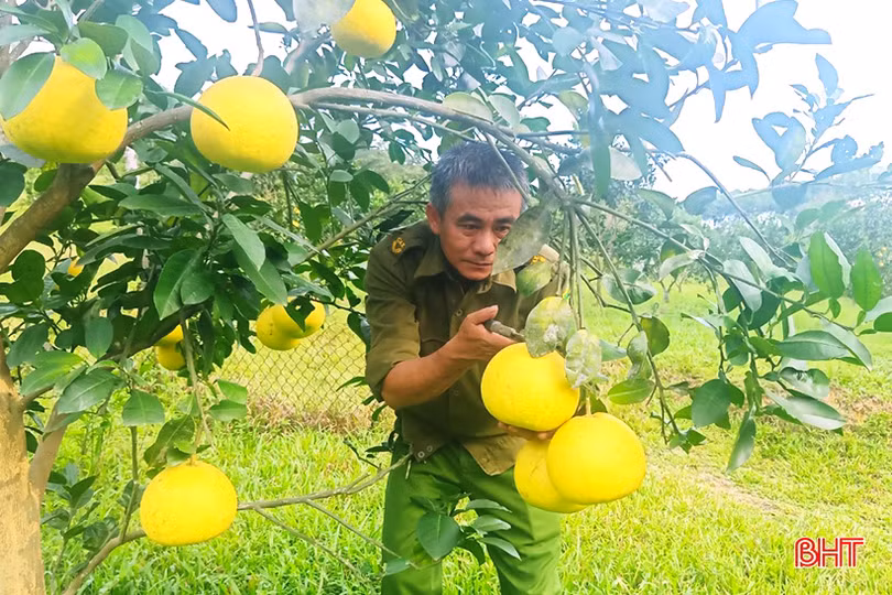 Khởi nghiệp thành công nơi “thâm sơn cùng cốc”