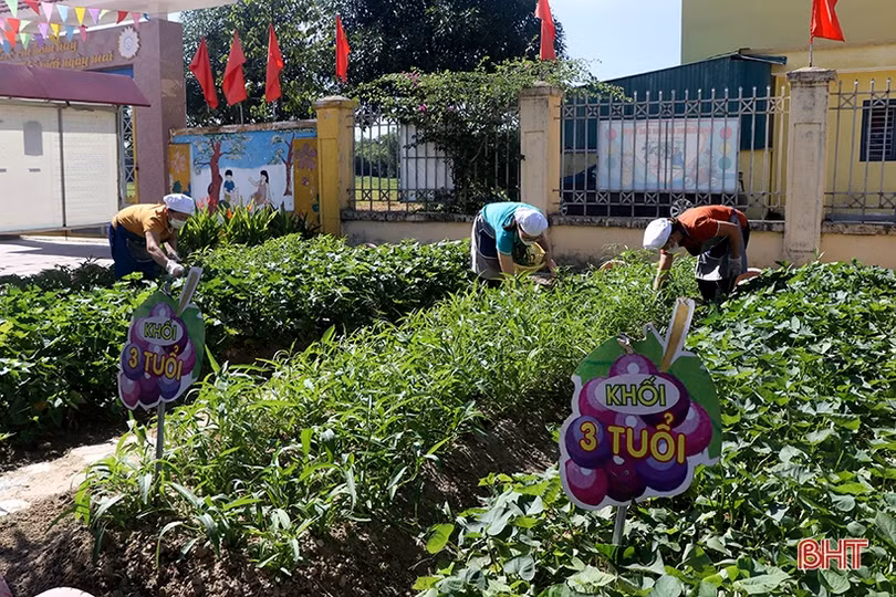 Các trường học ở Hà Tĩnh tăng cường đảm bảo an toàn bếp ăn bán trú