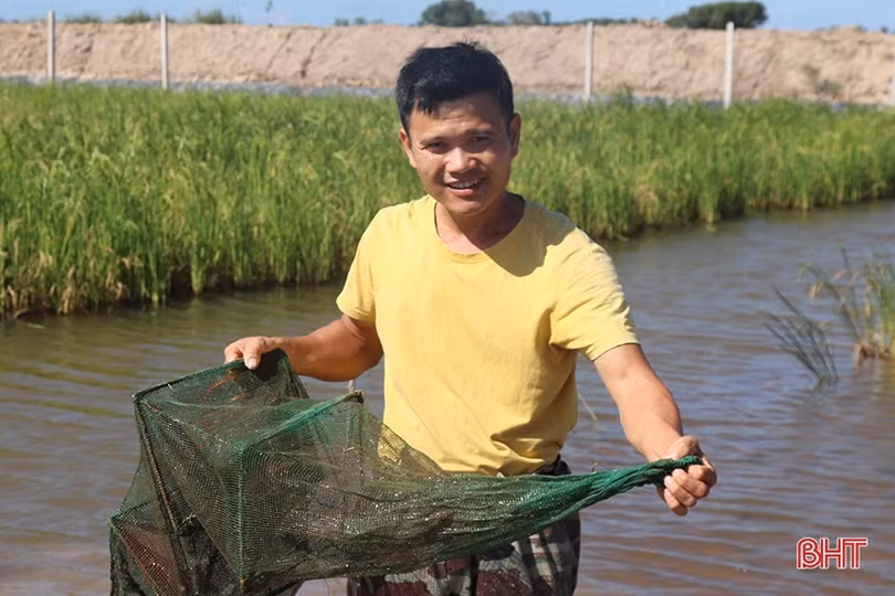 Xã ven đô Hà Tĩnh đa dạng mô hình kinh tế gắn với xây dựng nông thôn mới