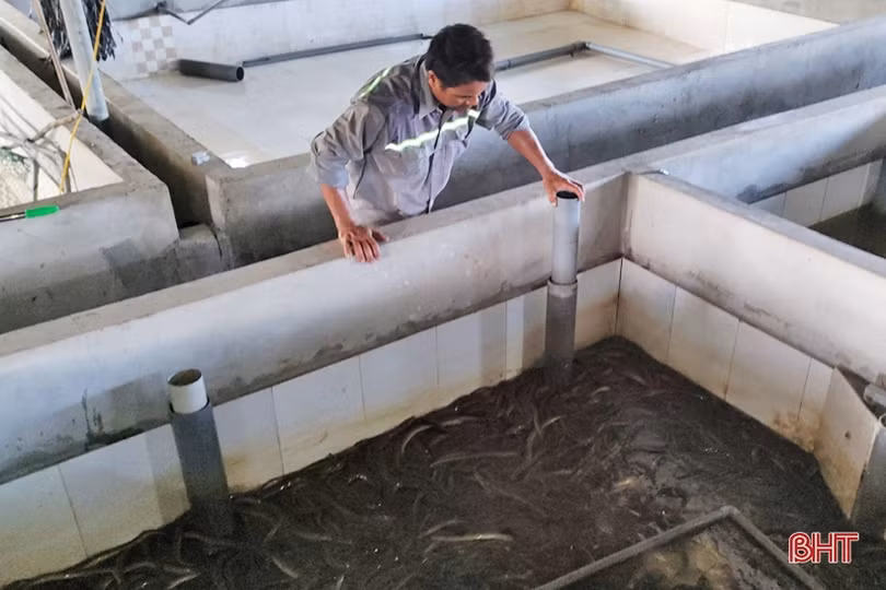 Những chủ thể làm khởi sắc nông thôn mới huyện ven biển Hà Tĩnh