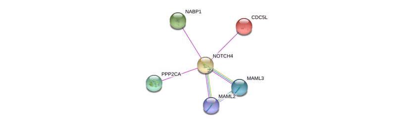 Nguyên nhân dẫn đến viêm phổi nghiêm trọng ở bệnh nhân COVID-19