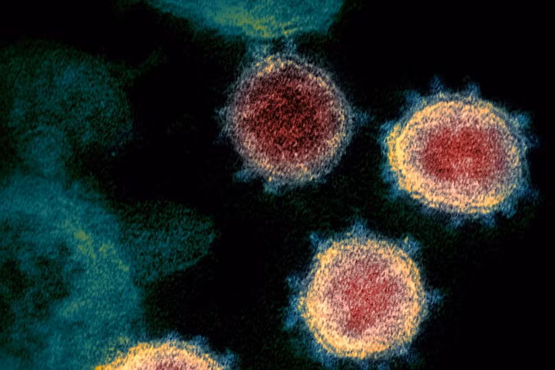 Ca mắc hiếm gặp khi nhiễm cùng lúc 2 biến thể của virus SARS-CoV-2