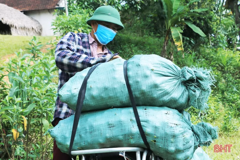 Chanh Vũ Quang sai quả nhưng lại... “rớt” giá, ế hàng do ảnh hưởng dịch Covid-19