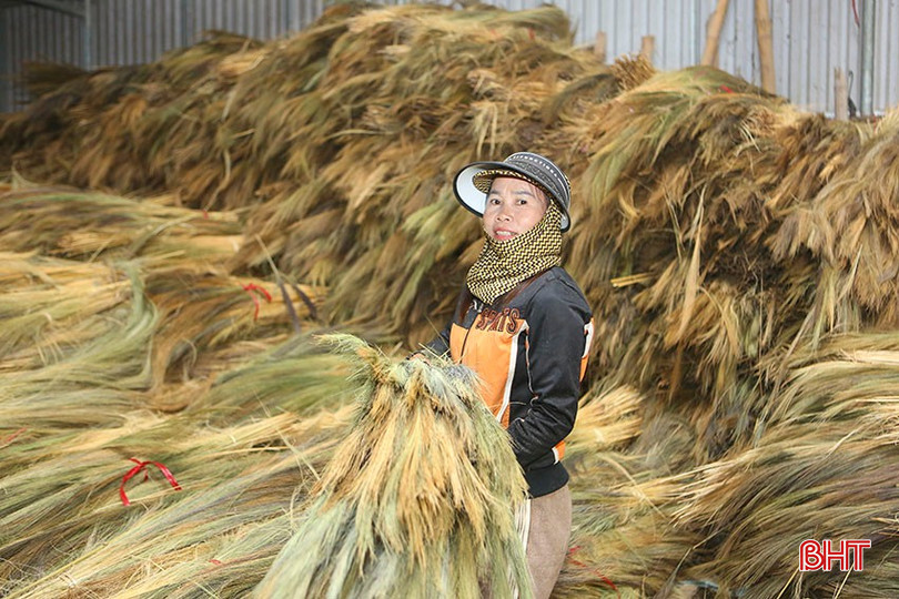 Kho chứa bông đót nguyên liệu của cơ sở chị Phạm Thị Tâm (thôn Hà Ân, Thạch Mỹ). bqbht_br_a3-7974.jpg